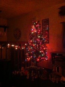 Family Christmas tree for this year. I haven't had one the last two years...nice to see it this time around. 